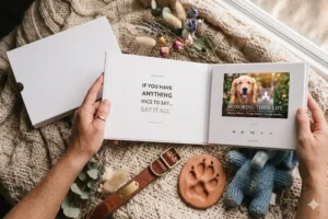 Pet Memorial Ideas: How to Honor a Pet Who Passed Away (2026)